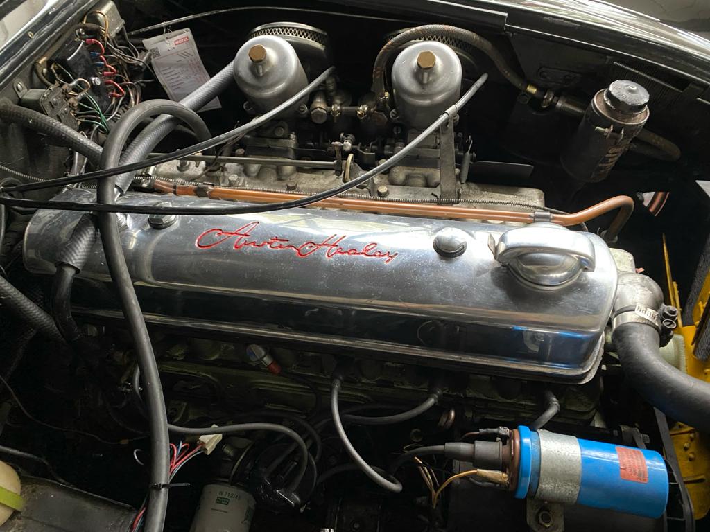 Austin Healy Motor