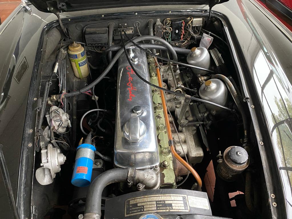 Austin Healy Motor
